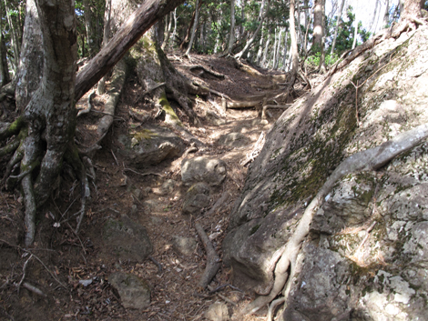 20190108hike (202)
